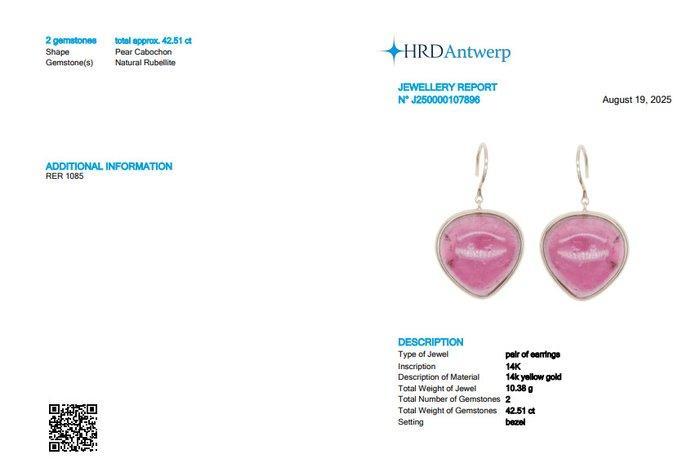 Hangoorbellen - 14 karaat Geel goud - 42.51ct. tw., Sieraden, Tassen en Uiterlijk, Antieke sieraden