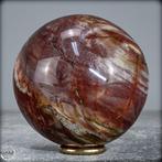 Natuurlijke sfeer van versteend hout- 614.05 g, Verzamelen