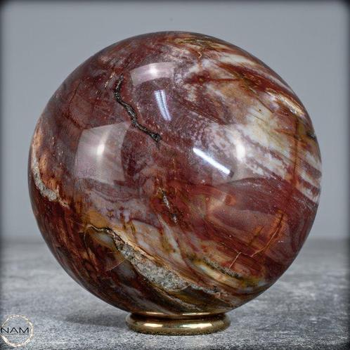 Natuurlijke sfeer van versteend hout- 614.05 g, Verzamelen, Mineralen en Fossielen