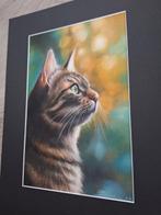 Yvette Bavelaar - Catlife