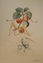 Salvador Dali (1904-1989) - Flordali, Abricot chevalier, Antiek en Kunst