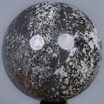 Shell steen Fijn kwaliteit schelpkalk bal - Hoogte: 9.74 cm