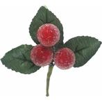 Besjes frosted raspberry pick red rood 10 cm/ zakje 6 st ook, Ophalen of Verzenden, Nieuw