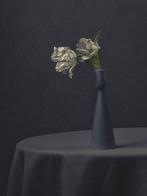 Ursula van de Bunte - Just the Two of Us