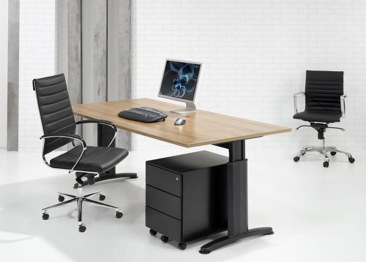 Work Bureau - Gratis verzending en montage!, Huis en Inrichting, Bureaus, Bureau, Nieuw, In hoogte verstelbaar, Ophalen of Verzenden
