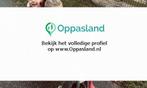 Mandy zoekt een oppas in Moerkapelle voor 2 kinderen., Vacatures, Goede doelen en Vrijwilligerswerk