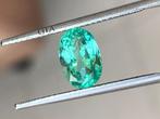 1 pcs Groen Smaragd - 1.34 ct - GIA, Nieuw