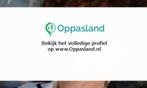 Marionette zoekt een oppas in Hoogvliet Rotterdam voor 2..., Vacatures, Vacatures | Overige Vacatures