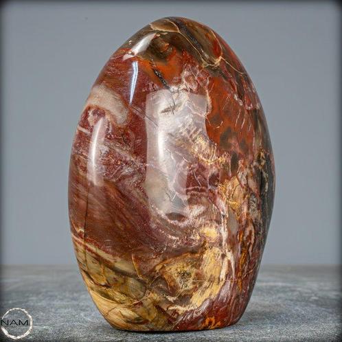 Vrije vorm van versteend hout handgepolijst- 1217.51 g, Verzamelen, Mineralen en Fossielen