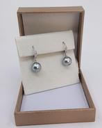 Oorbellen - 14 karaat Witgoud - 0.09ct. tw. - 9x10mm, Nieuw
