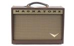 Magnatone Starlite Reverb 1x8 Combo (Gitaarversterkers), Muziek en Instrumenten, Versterkers | Bas en Gitaar, Ophalen of Verzenden