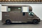 Citroen Jumper  Horsetruck, Dieren en Toebehoren, Paarden en Pony's | Trailers en Aanhangwagens, Verzenden, Gebruikt
