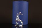 Figuur - Swarovski - SCS Poolhaas (Boxed) - Kristal