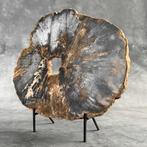 Prachtige grote plak petrified hout op een op maat gemaakte