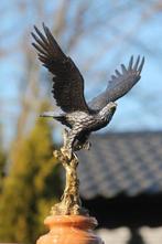 sculptuur, eagle in vlucht - 33 cm - brons marmer