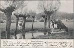 ALMELO - Groeten uit Almelo, Verzamelen, Ansichtkaarten | Nederland, Verzenden, Gelopen