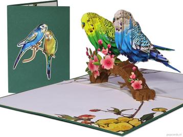 2 Fraaie Parkieten gezellig samen op een bloementak Pop-u... beschikbaar voor biedingen