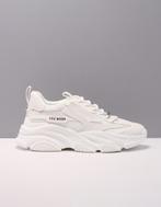 Steve Madden sneakers/lage-sneakers dames 39 wit, Steve Madden, Verzenden, Nieuw, Wit