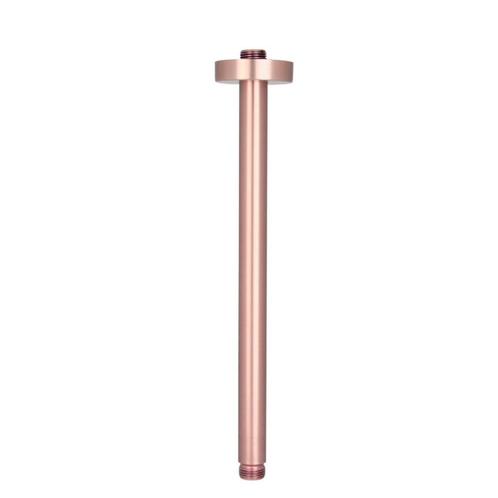 Best-Design Lyon Plafondbeugel Rose-Mat-Goud 30 cm, Doe-het-zelf en Verbouw, Sanitair, Ophalen of Verzenden