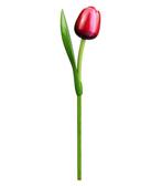 Houten tulp op steel 34 cm Red white, Ophalen of Verzenden, Nieuw