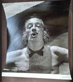 Marc Lacroix - Dali in a swimming pool - Original photo -, Antiek en Kunst