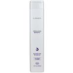 LAnza  Healing Smooth  Glossifying Shampoo  300 ml, Nieuw, Verzenden