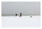 Andre Lichtenberg - Snow Storm with Dogs