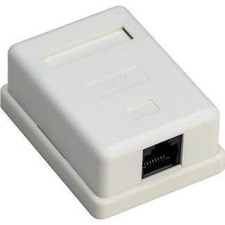 RJ45 wandcontactdoos | UTP (RJ45, Cat6, Horizontaal, Opbouw), Computers en Software, Pc- en Netwerkkabels, Nieuw, Verzenden