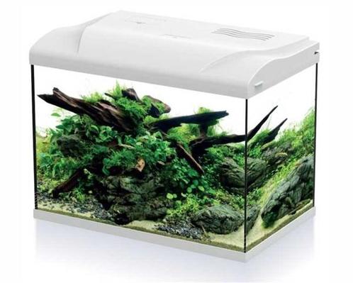 HS Aqua Aquarium Platy 50 LED | 50L | 49 X 31 X 38CM Wit Wit, Dieren en Toebehoren, Vissen | Aquaria en Toebehoren, Ophalen of Verzenden