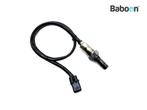 Lambda Sonde Ducati Monster 1200 2014-2016, Motoren, Onderdelen | Ducati, Verzenden, Gebruikt