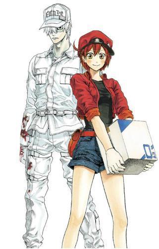 Cells at Work! Complete Manga Box Set!, Boeken, Studieboeken en Cursussen, Verzenden