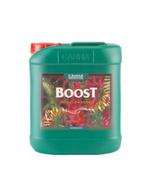 Canna Boostaccelerator 5 ltr, Tuin en Terras, Aarde en Mest, Ophalen of Verzenden