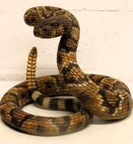 Richard Sefton - sculptuur, Rattle Snake - 21 cm - Porselein