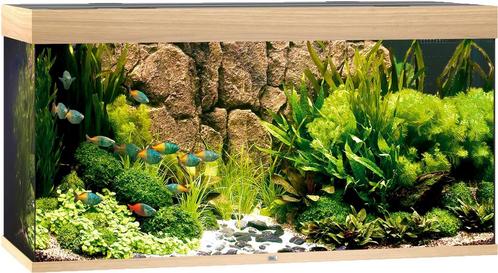 Rio 350 LED Lichtbruin, Dieren en Toebehoren, Vissen | Aquaria en Toebehoren, Nieuw, Ophalen of Verzenden