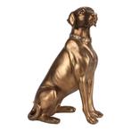 Beeld Hond | Bronzey Gold  | 39x26x19cm, Nieuw, Verzenden