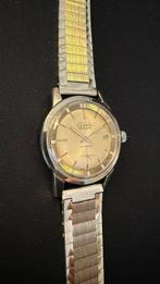 Cadola - Cadola Neuchatel (Swiss Made) - Zonder Minimumprijs, Nieuw