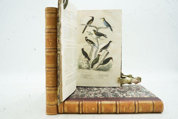 Buffon / G. Cuvier - Œuvres complètes de Buffon: Oiseaux -, Antiek en Kunst, Antiek | Boeken en Bijbels