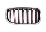 GRILL VOOR BMW X5 F15 2013-2018 51137316062, Ophalen of Verzenden, Nieuw