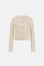 -30% Fabienne Chapot  Fabienne Chapot Fc sun cardigan  maat, Kleding | Dames, Truien en Vesten, Verzenden, Nieuw