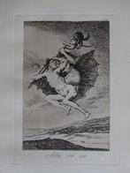 Francisco de Goya (1746-1828), despues - The Witch