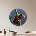 Emerald Climber - Muurcirkel - ø 60 cm +Ophangset, Verzenden, Nieuw, Print