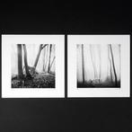 Frank Machalowski - Diptychon from the series tierwald -