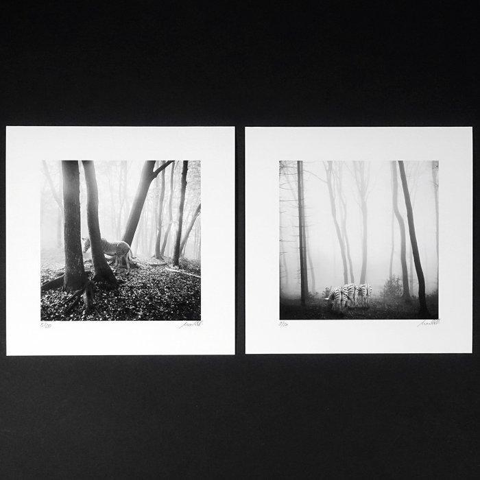 Frank Machalowski - Diptychon from the series tierwald -, Antiek en Kunst, Kunst | Designobjecten