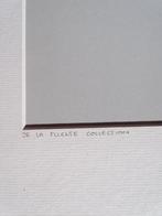 Lowell Riley - Muhammad Ali, Cassius Marcellus Clay