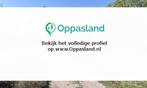 Anke zoekt een oppas in Twello voor 2 kinderen op dinsdag...