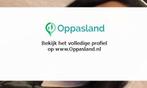 Fmg zoekt een oppas in Gorinchem voor 2 kinderen op woens..., Vacatures, Vacatures | Klantenservice en Callcenter