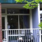 Gestoffeerde Kamer aan Anna van Burenlaan gevonden in Ede, Minder dan 20 m², Overige regio's