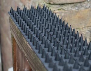 werings strips 50 cm bij 4,5 cm, Diensten en Vakmensen, Ongediertebestrijding