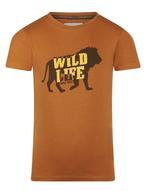Koko Noko - T-shirt Wild Life Bruin, Nieuw, Jongen, Ophalen of Verzenden, Koko Noko