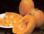 Melonette jaspee de vendee - 250 zaden vende, Ophalen of Verzenden, Nieuw